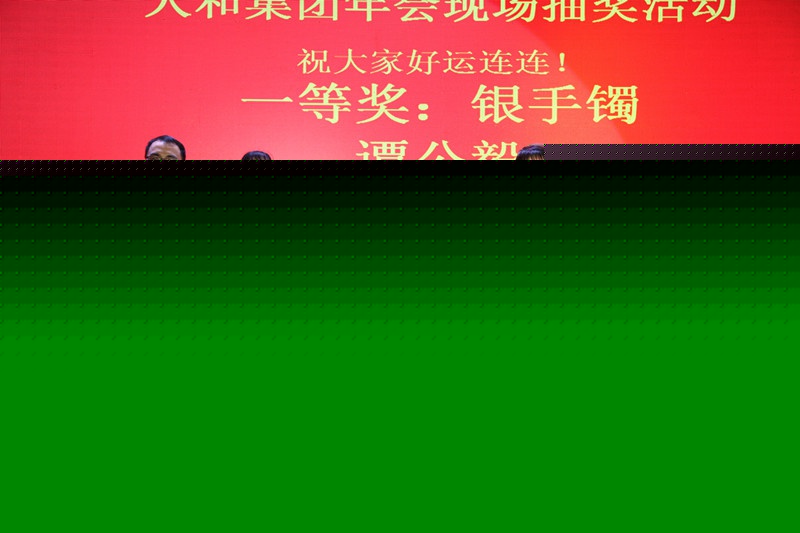 人和集團(tuán)2016年會(huì) 