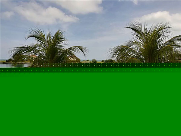 人和集團(tuán)新馬旅游 